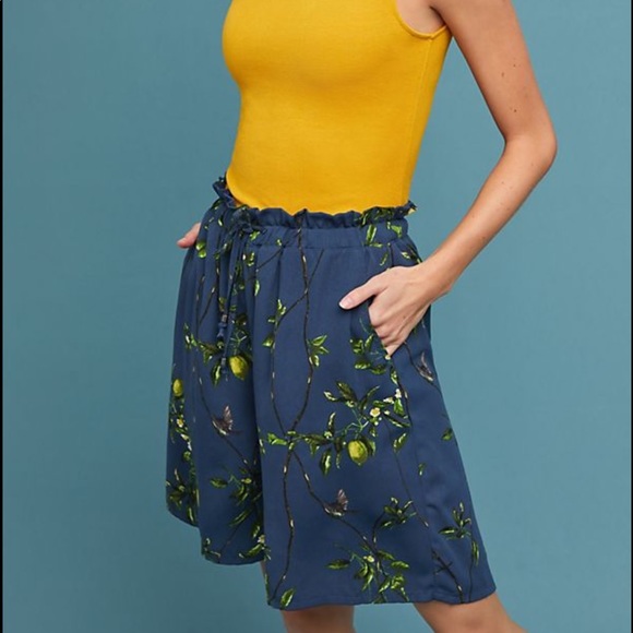 Anthropologie Pants - Anthropologie Lemon Bermuda Shorts